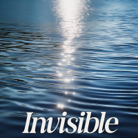 Invisible - Full Cover cover
